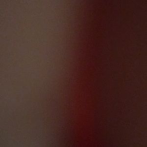 Meet your Posher, Ava